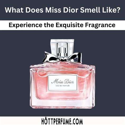 best dior perfume|what does miss Dior smell like.